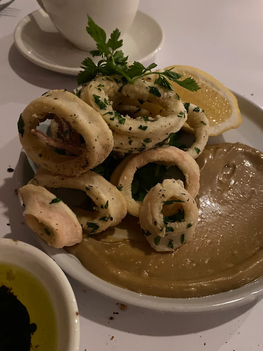 Fried Calamari