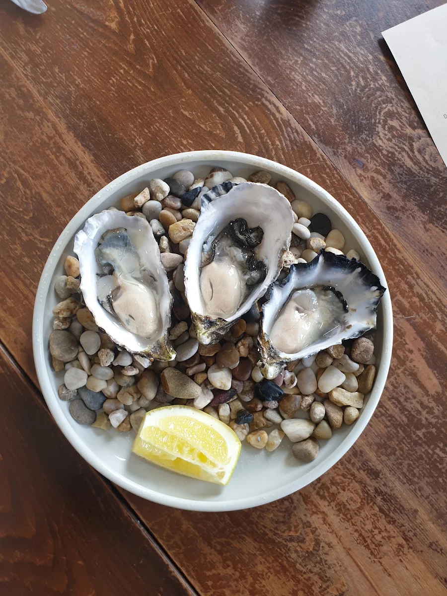 Freshly Shucked Oyster