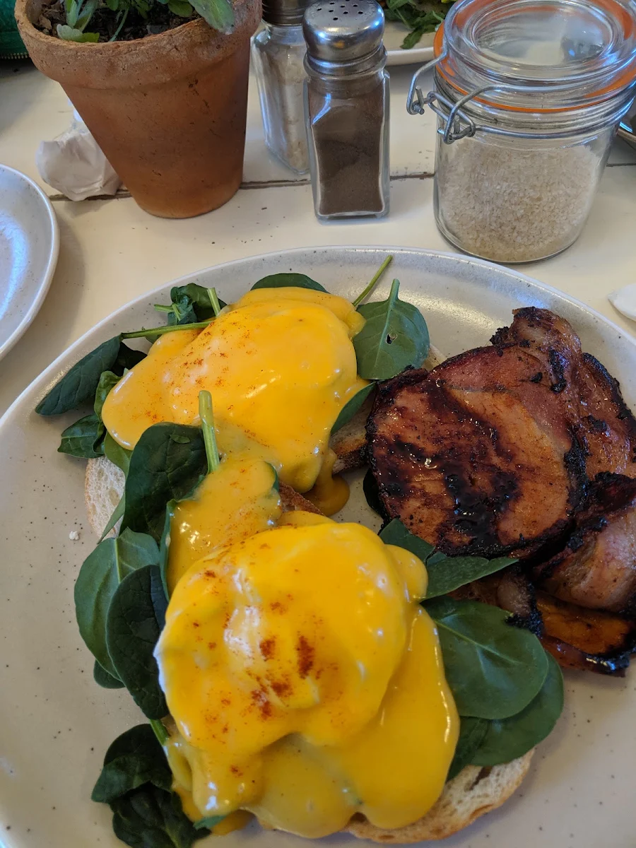 Eggs Benedict, Whipbird