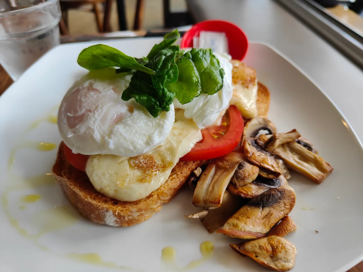 Haloumi Stack, Fresh Ground Sandwiches & Espresso