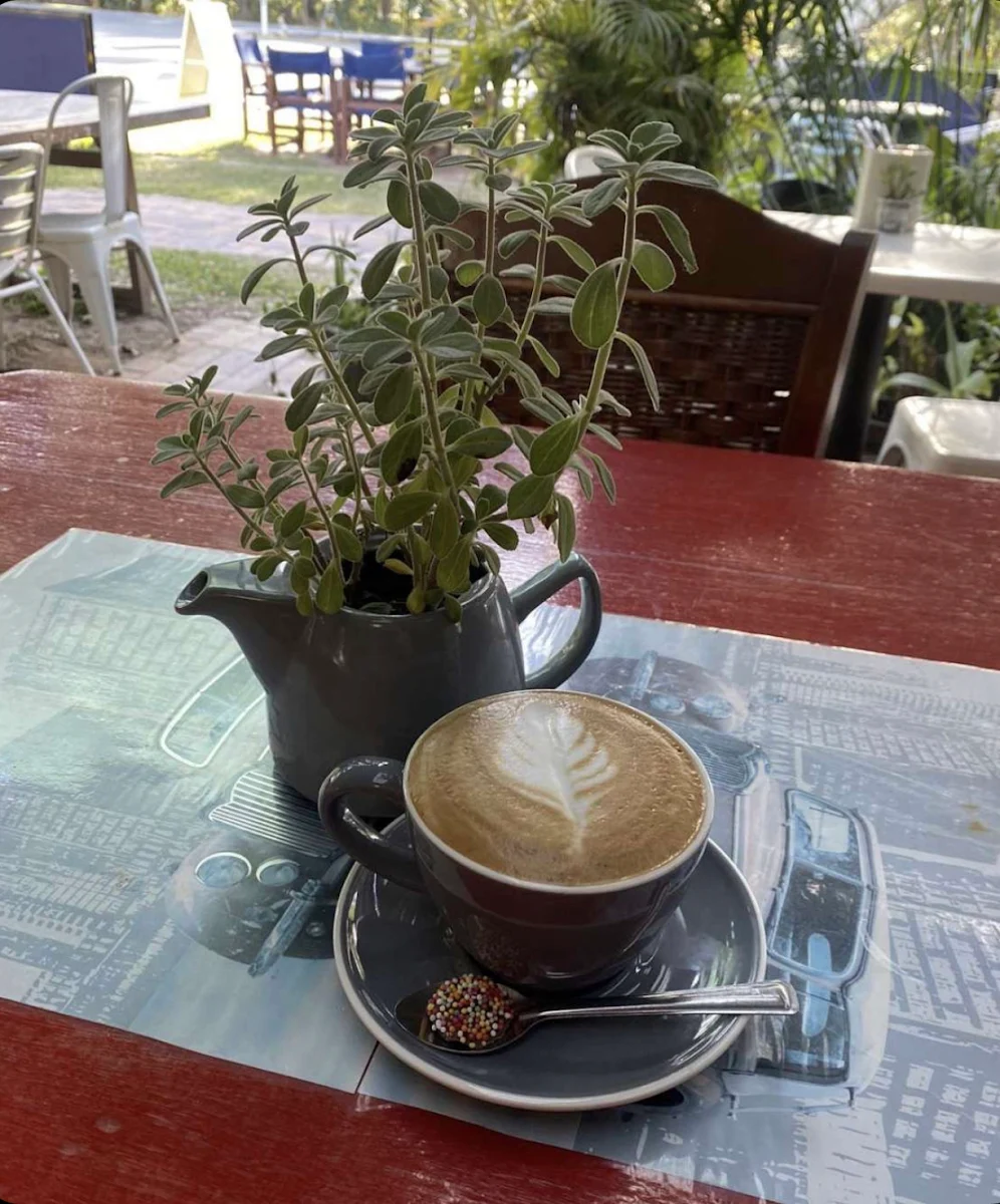 Highlights, The Peachester Cafe Bakery