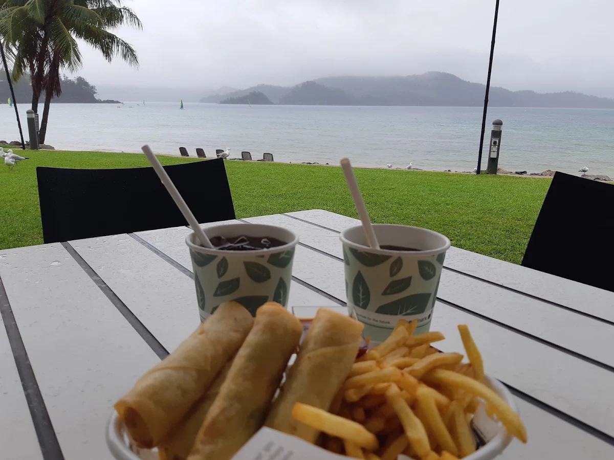 Vegetarian Spring Rolls and Fries