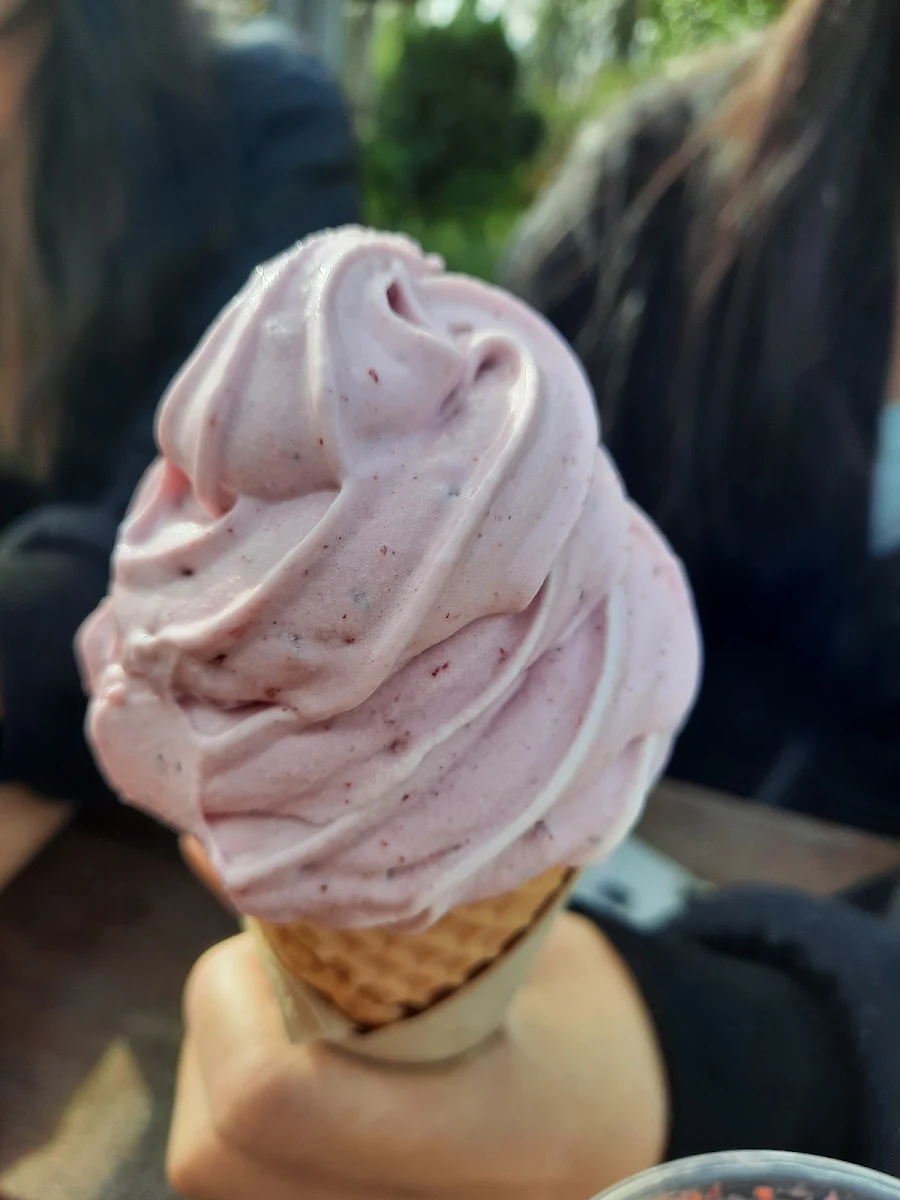 Tuti Fruiti Ice Cream Sundae