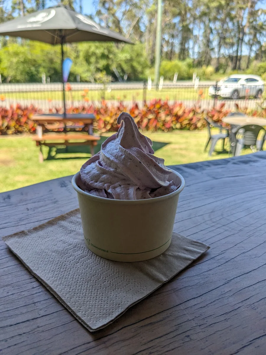 Tutti Fruitti Ice Cream