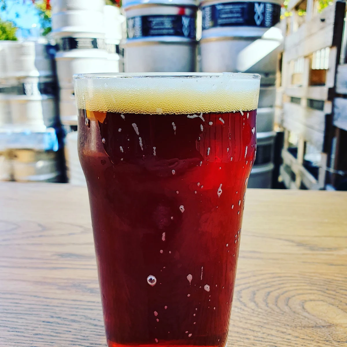 Red IPA, Modus Brewing