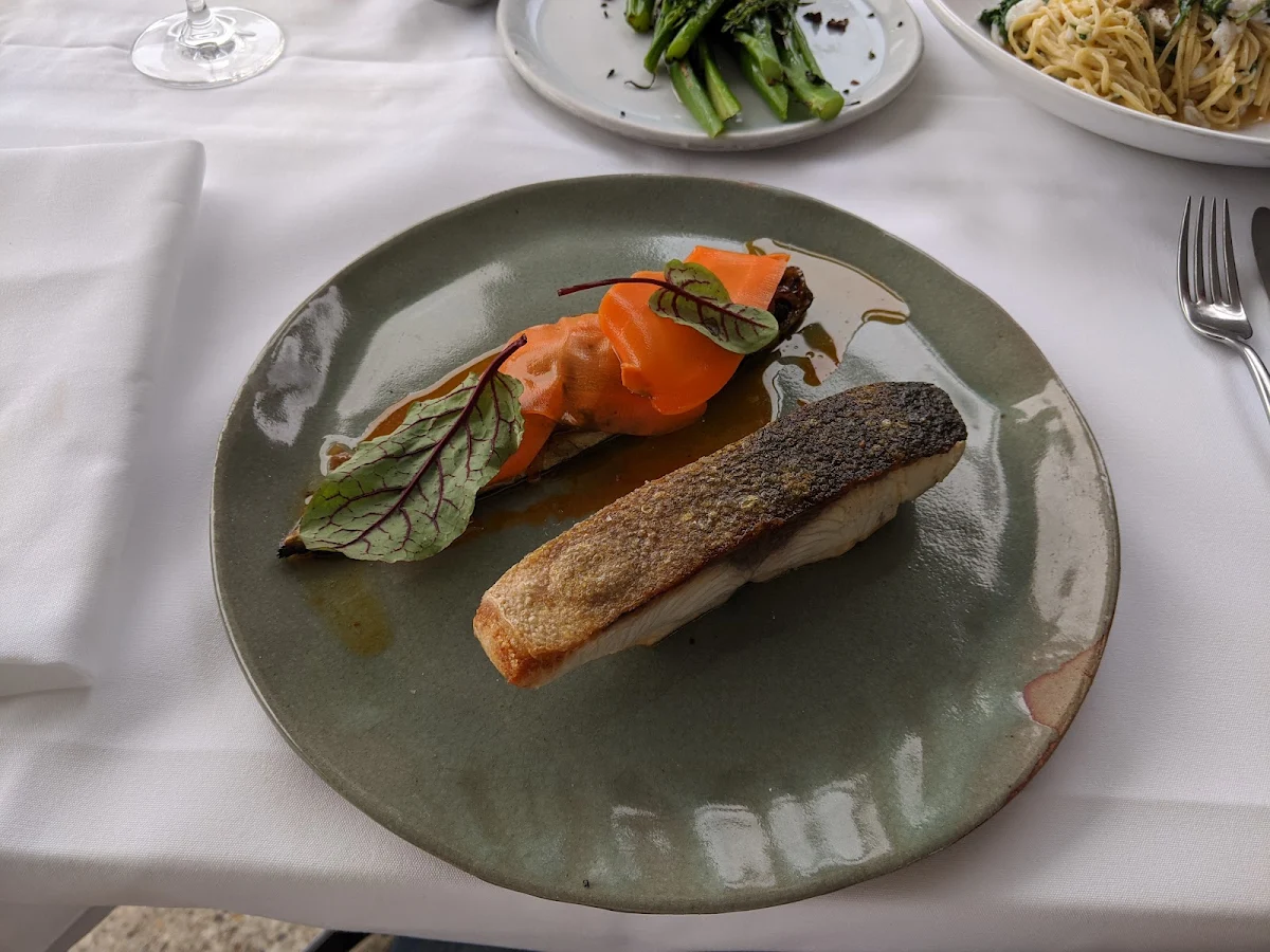 King Fish, Beach Byron Bay