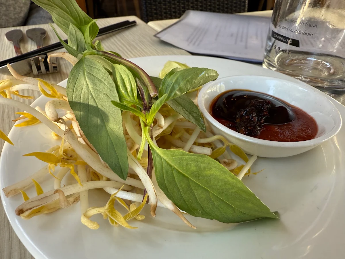 Highlights, Barossa Pho