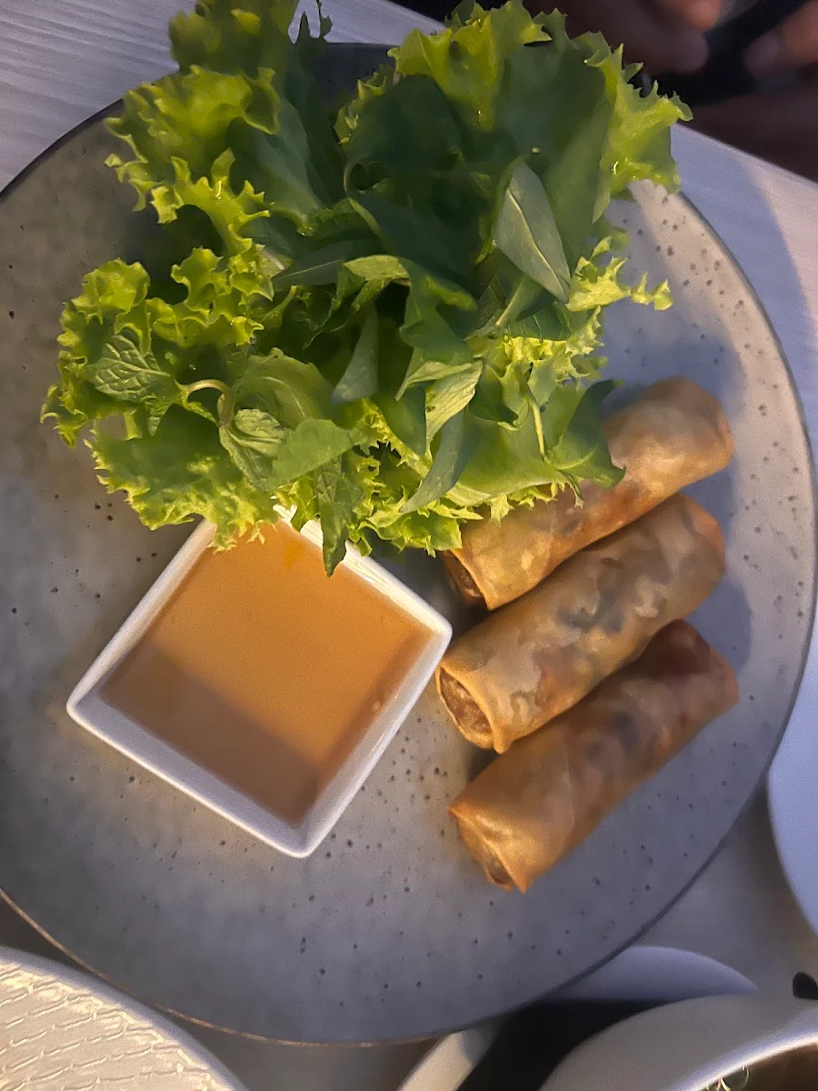 Pork Spring Rolls, Barossa Pho