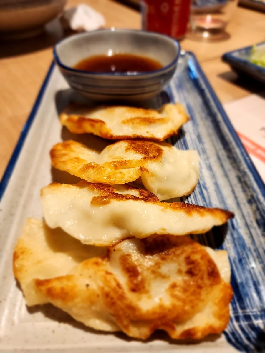 Fried Dumplings