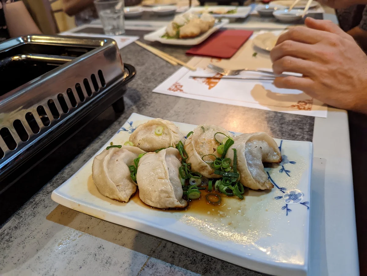 Fried Dumplings 8pcs
