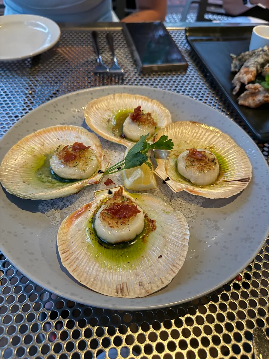 Scallops