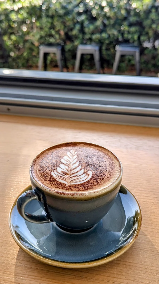 Highlights, Kittani Coffee Co