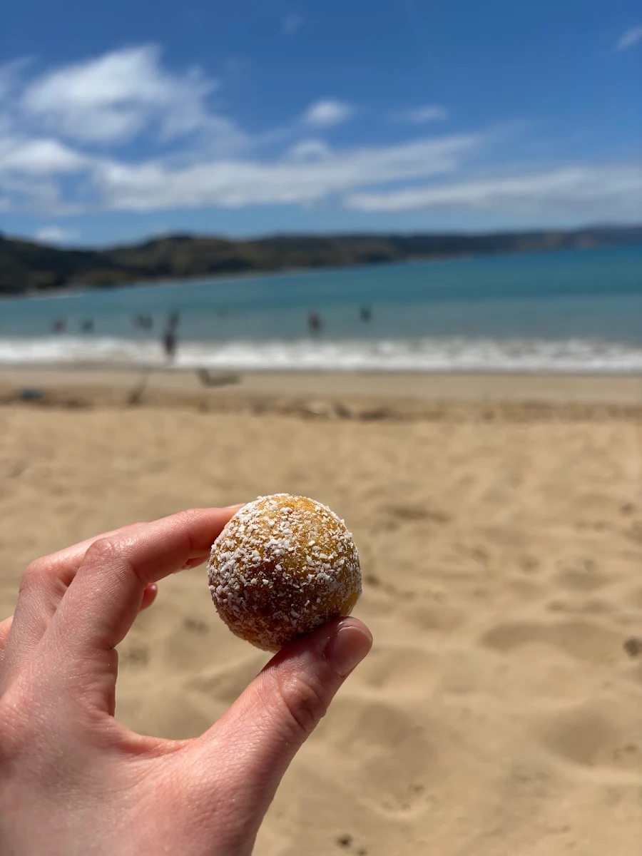 Apricot Protein Ball