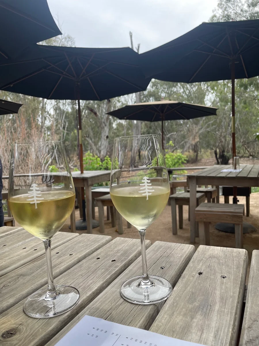 Highlights, The Social Wine Bar