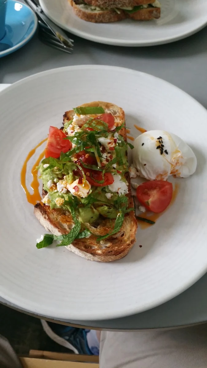 Poached Egg