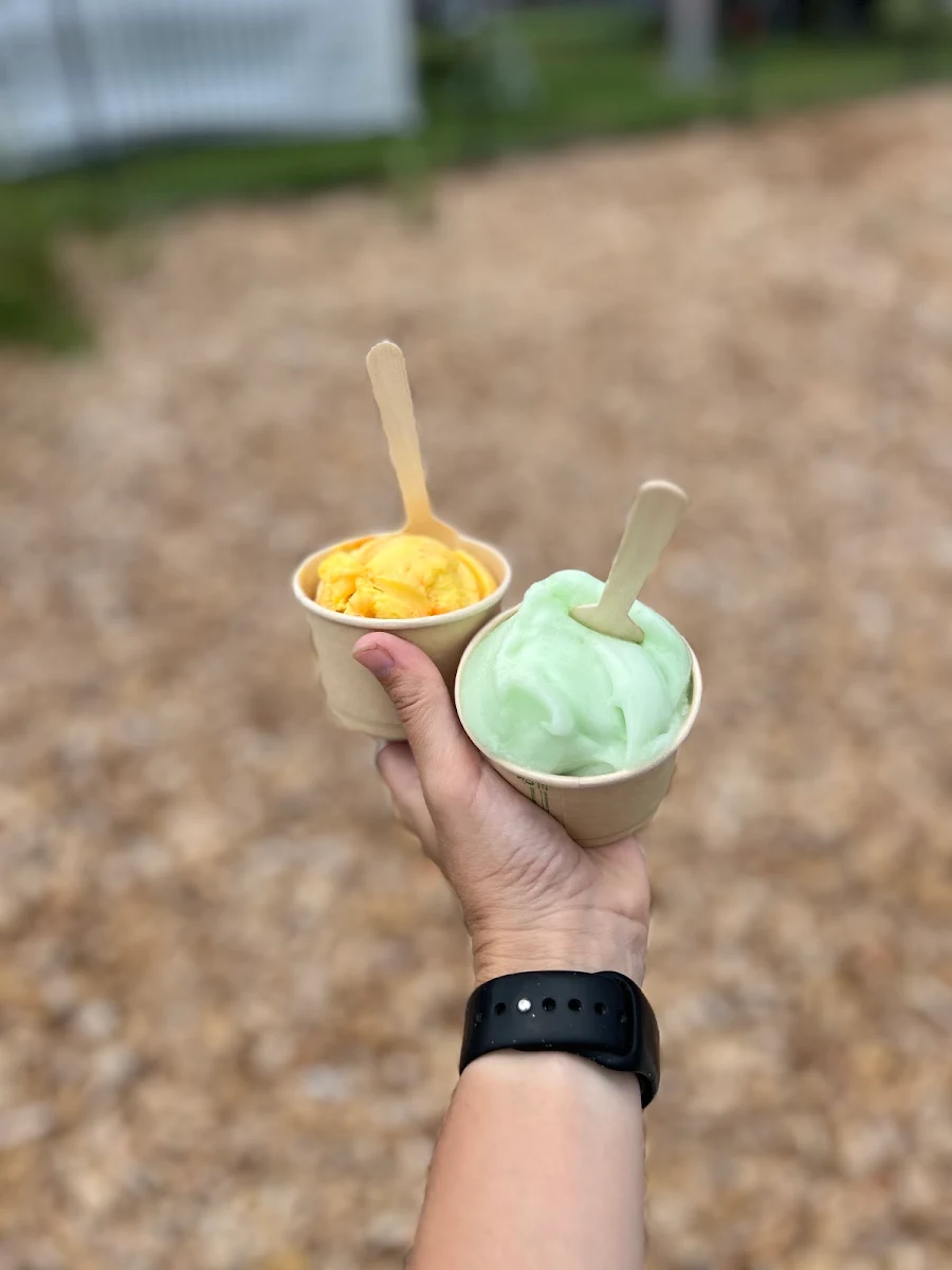 Highlights, Tango Juice Bar & Ice-Creamery