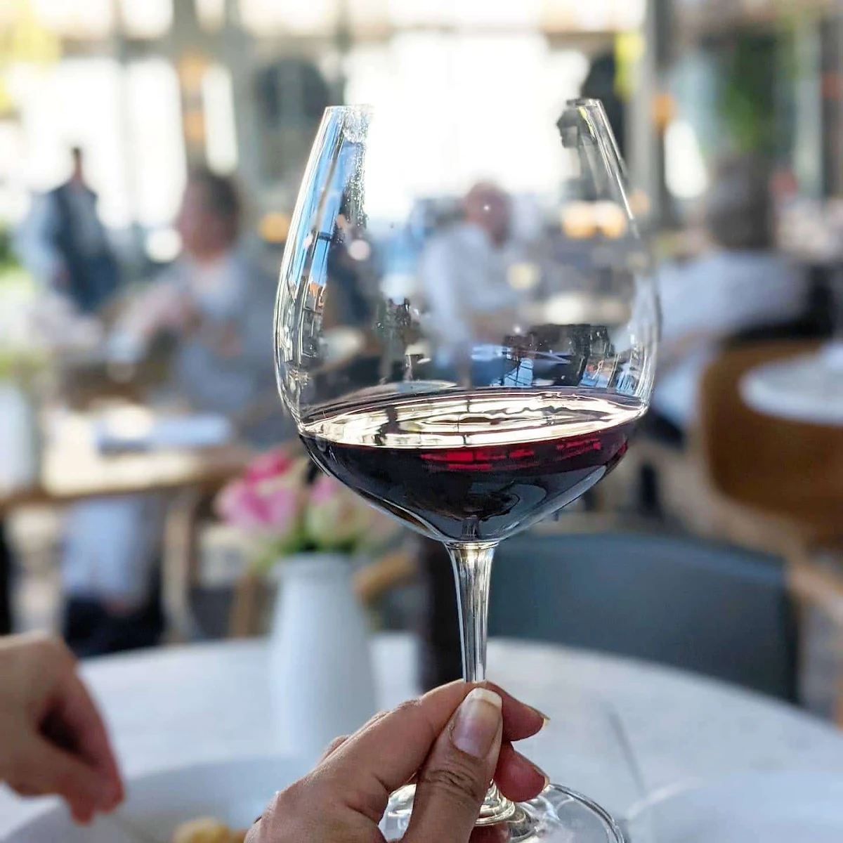 Wine, The Buena