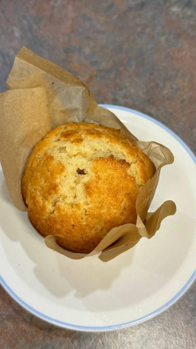 Plain Muffin, Hungry Squirrel Cafe