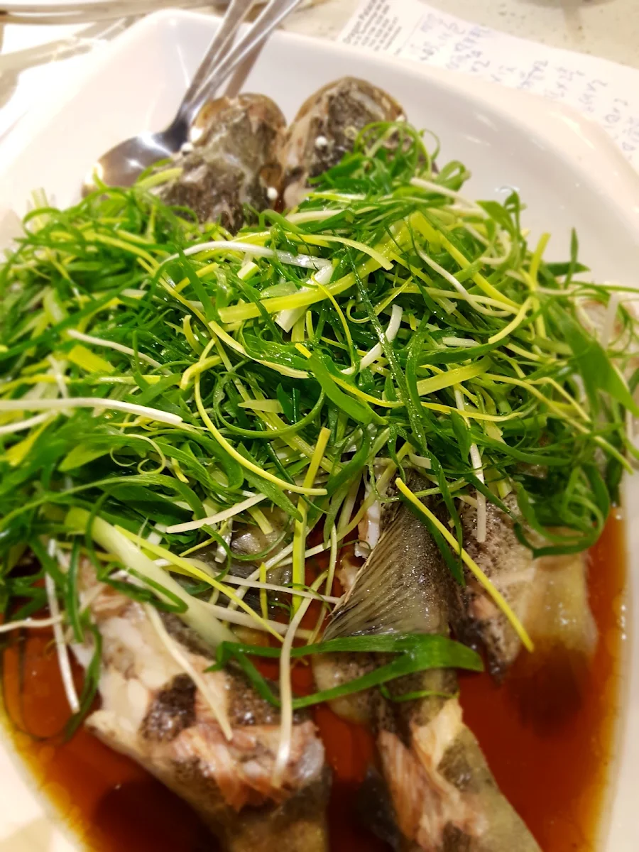 Ginger N' Shallots Coral Trout Fish Fillet