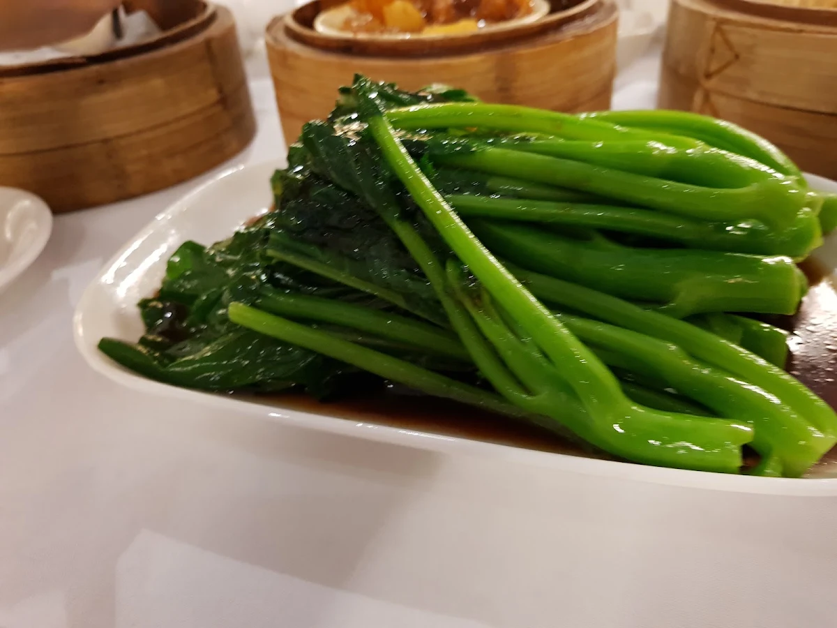Steamed Kai Lan with Oyster Sauce