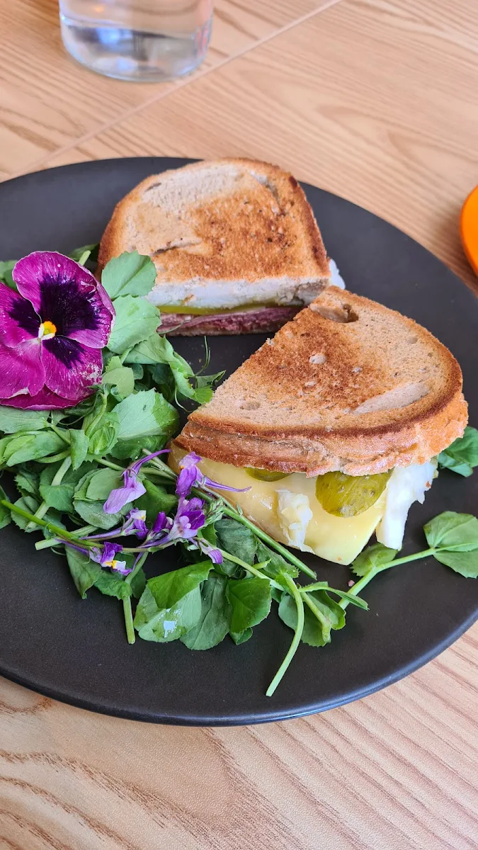 Reuben Toasty, blackbird