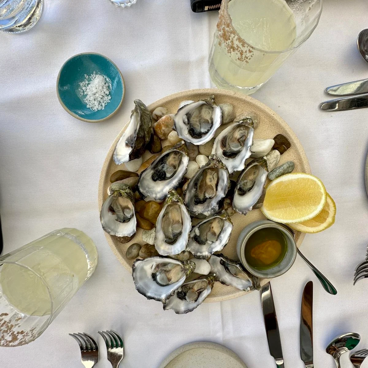 Freshly Shucked Oysters