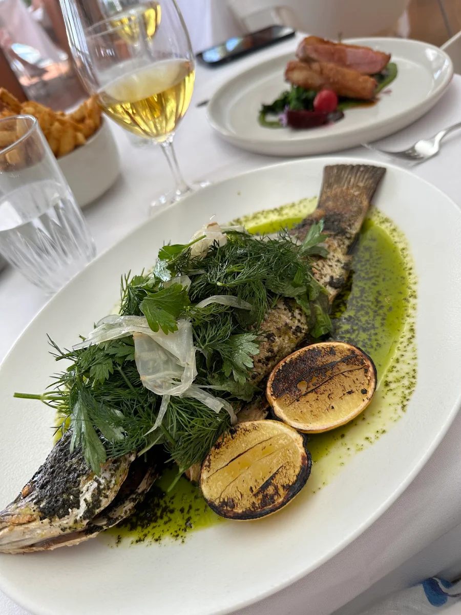 Whole Roasted Coral Coast Baby Barramundi Green Goddess Braised Maravista Farm Purple Onions