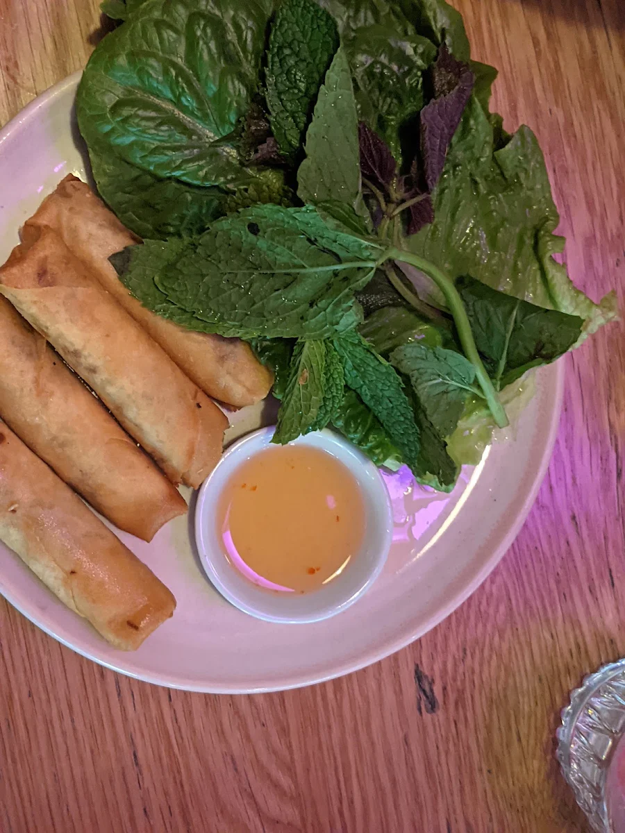 Spring Roll, Light Years - Noosa