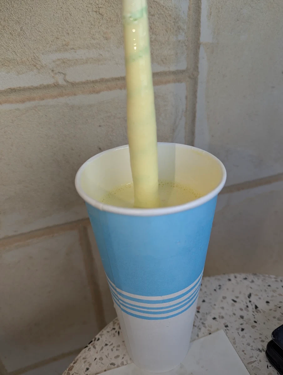 Highlights, Lancelin Icecream & Bubble Tea