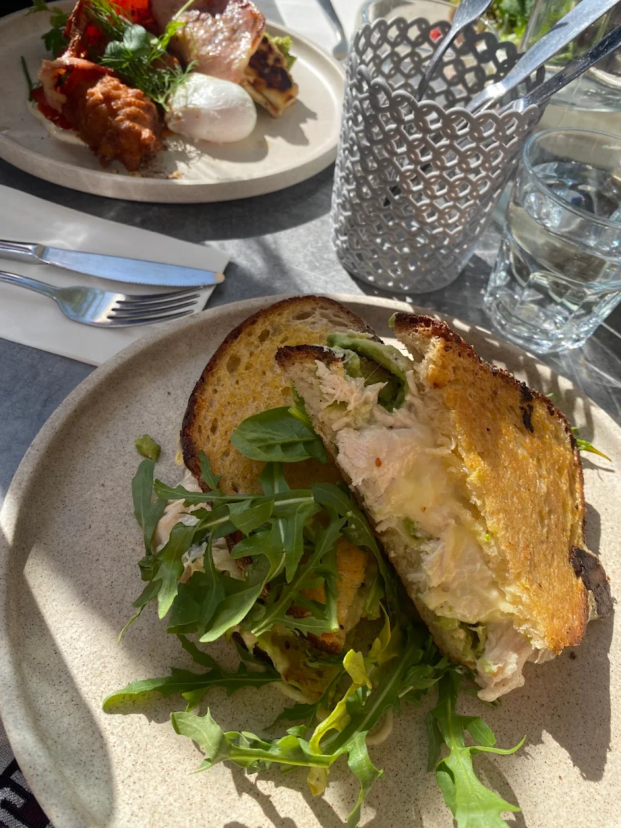 Chicken Avocado Toastie