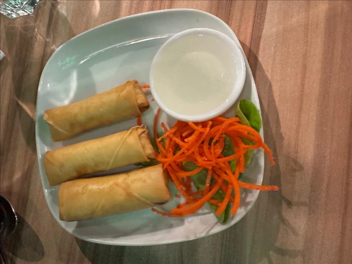 Vegetable Spring Rolls