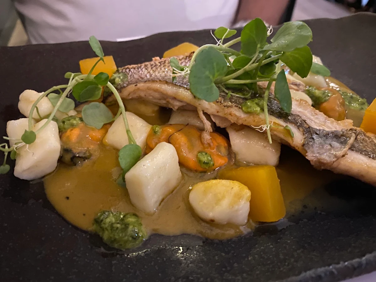 Snapper