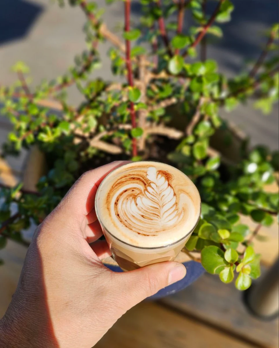 Highlights, Raven Cafe