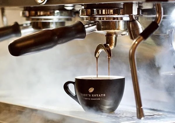 Highlights, Park Lane Barista
