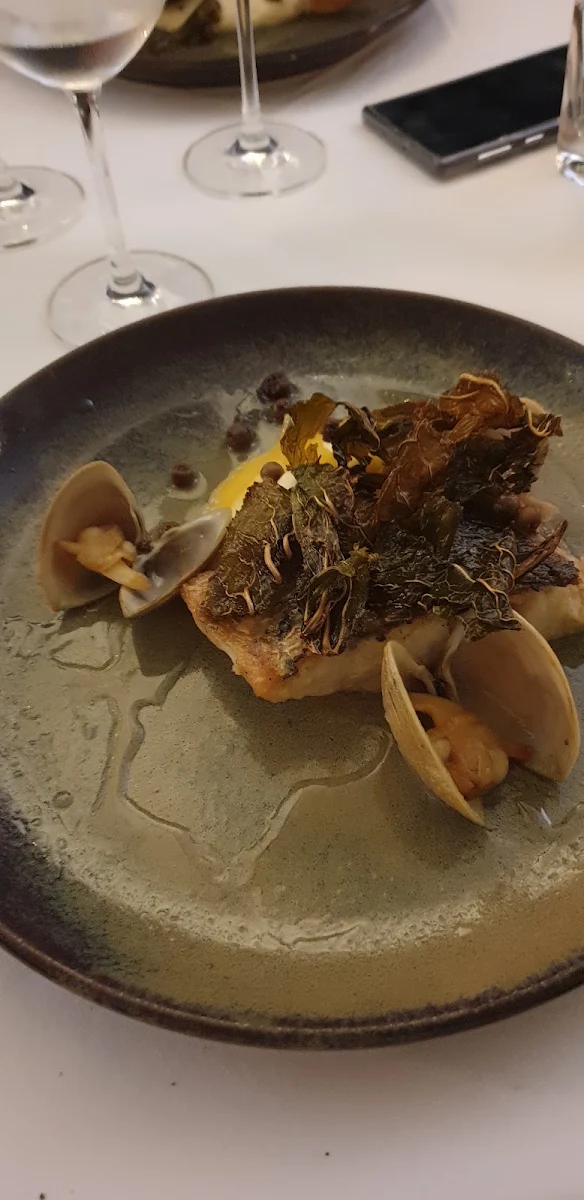 Barramundi, Harrisons by Spencer Patrick