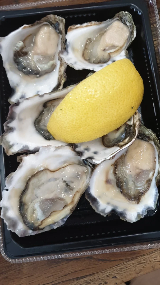 Oysters 1 2 Doz