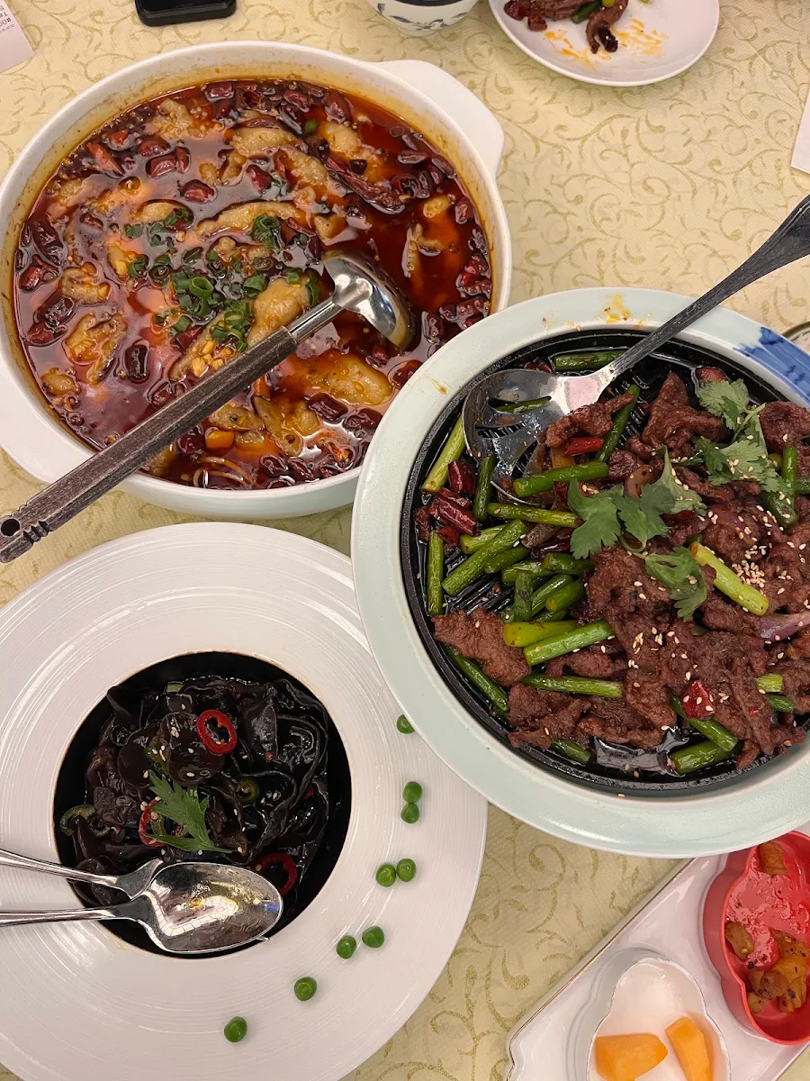 Stewed Beef Tendon and Beef Shank with Yunnan Wild Mushrooms