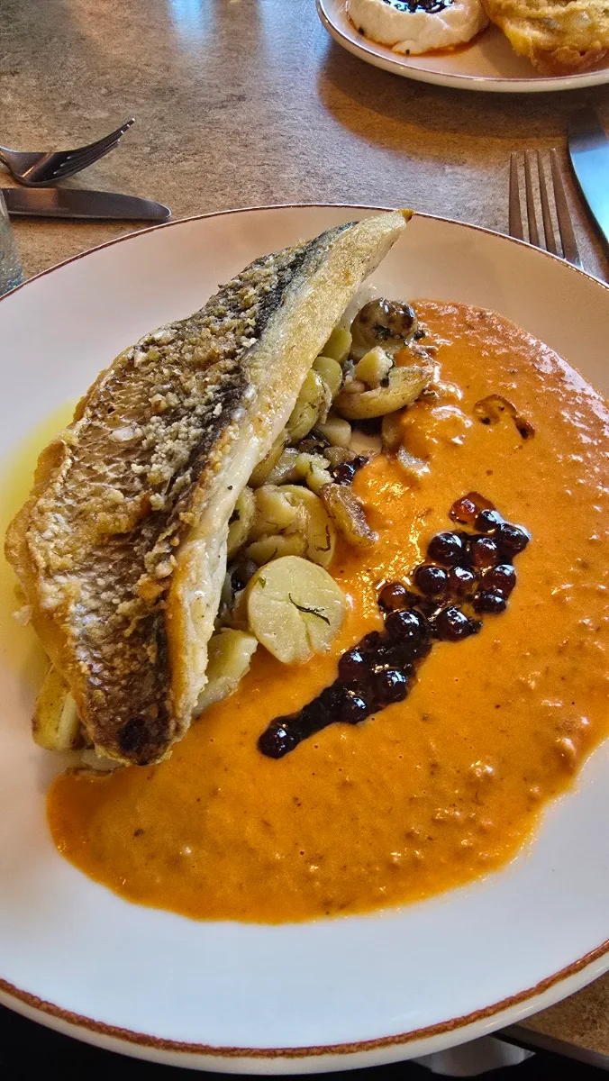 Snapper, The Boathouse North Wollongong
