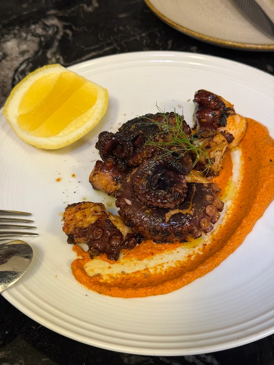 Grilled Octopus