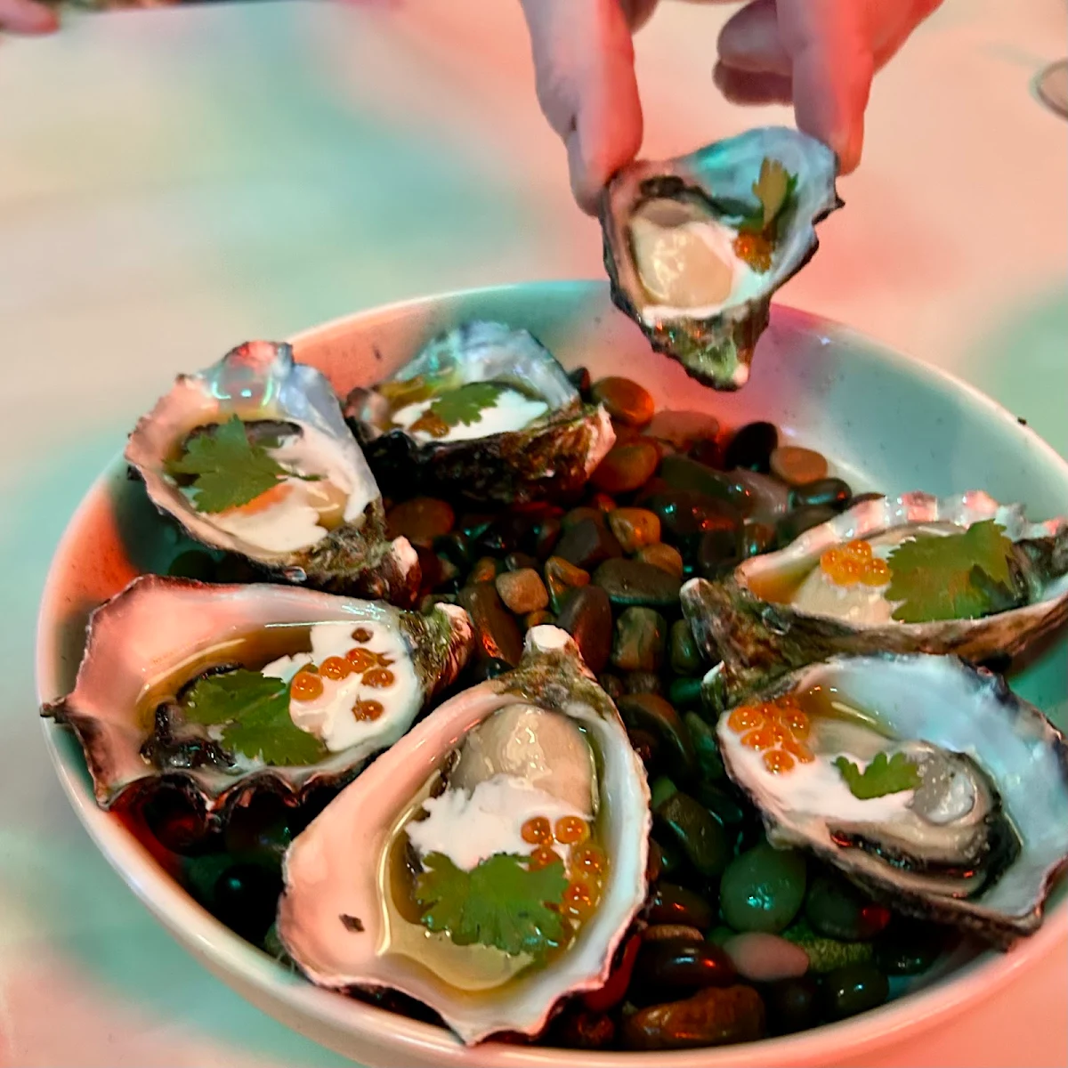 Coffin Bay Oysters