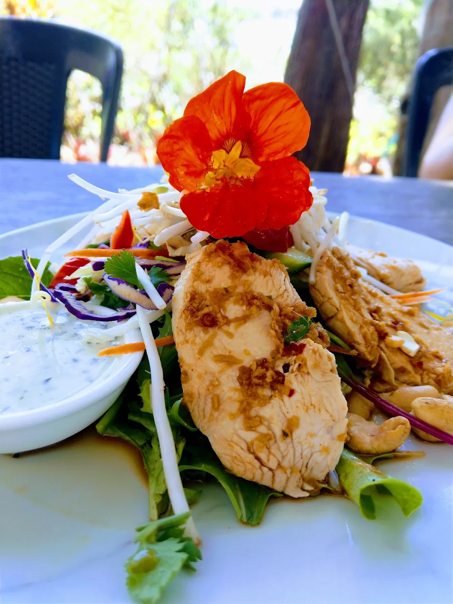 Thai Chicken Salad