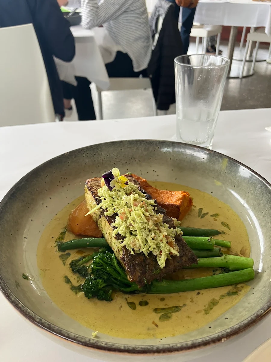 Barramundi Fish of the Day