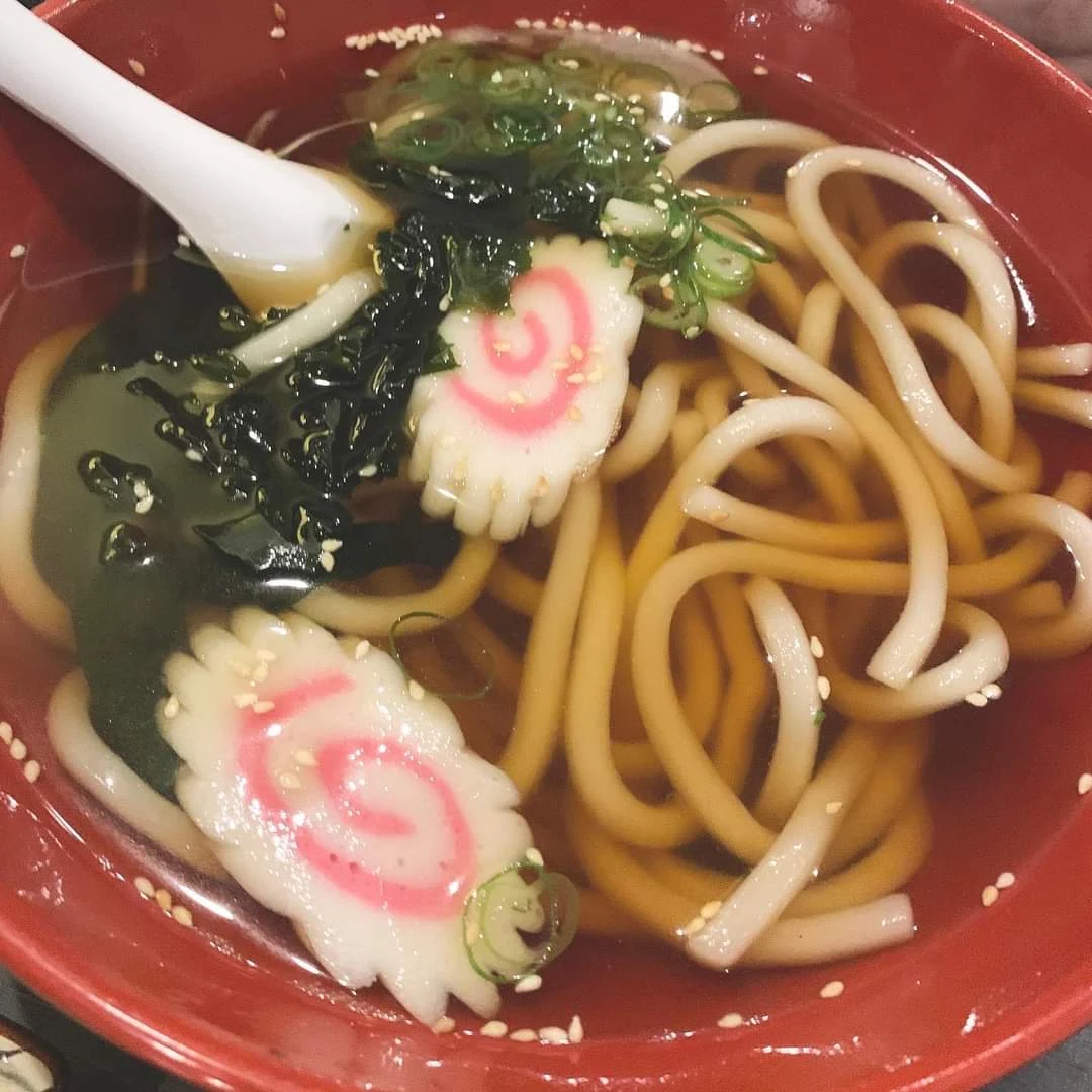 Plain Udon, HANAMI Japanese Restaurant