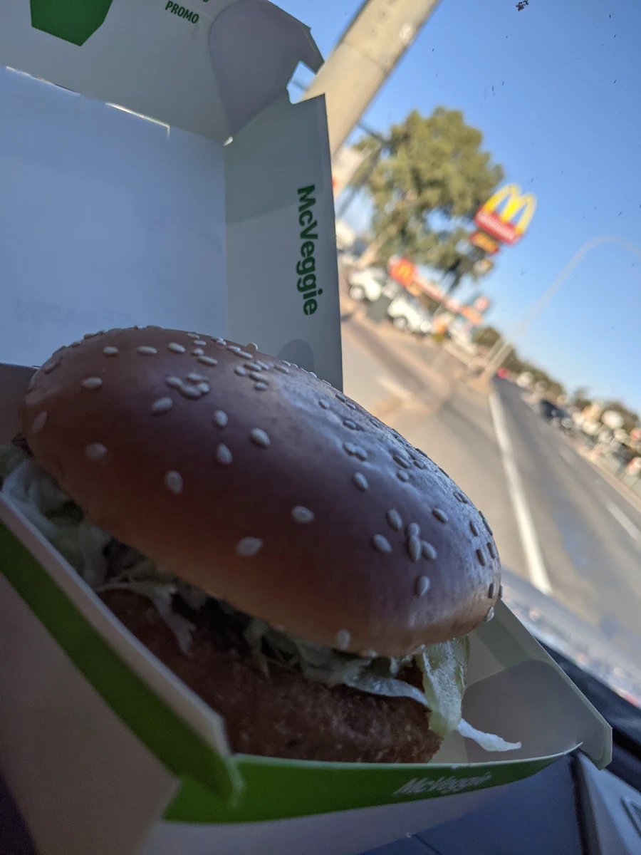 Vegetarian Burger