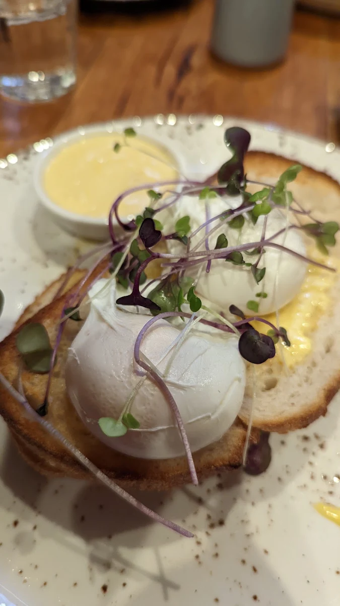 Eggs Benedict, Son of Tucci Cafe Mount Waverley