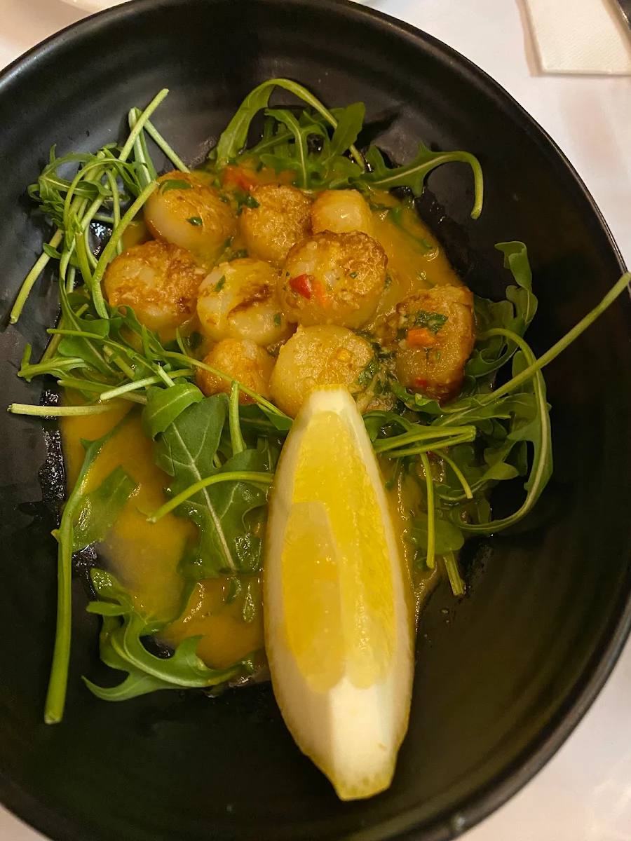 Scallops, Motorino Pizzeria