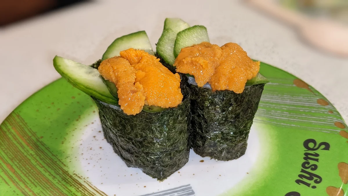 Sea Urchin Ship