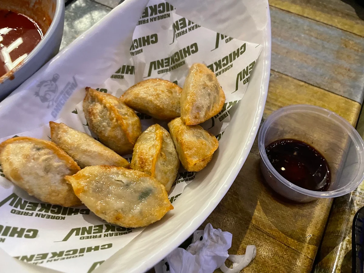 Fried Dumplings