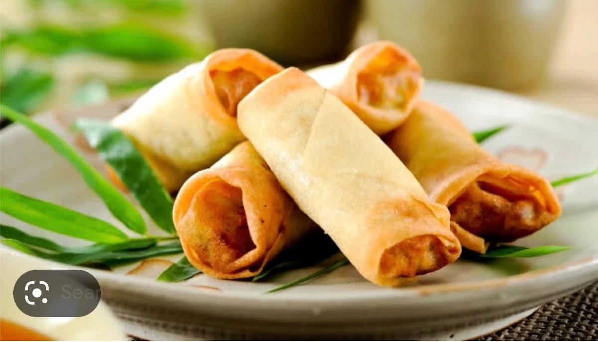 Spring Roll Vegetarian 4