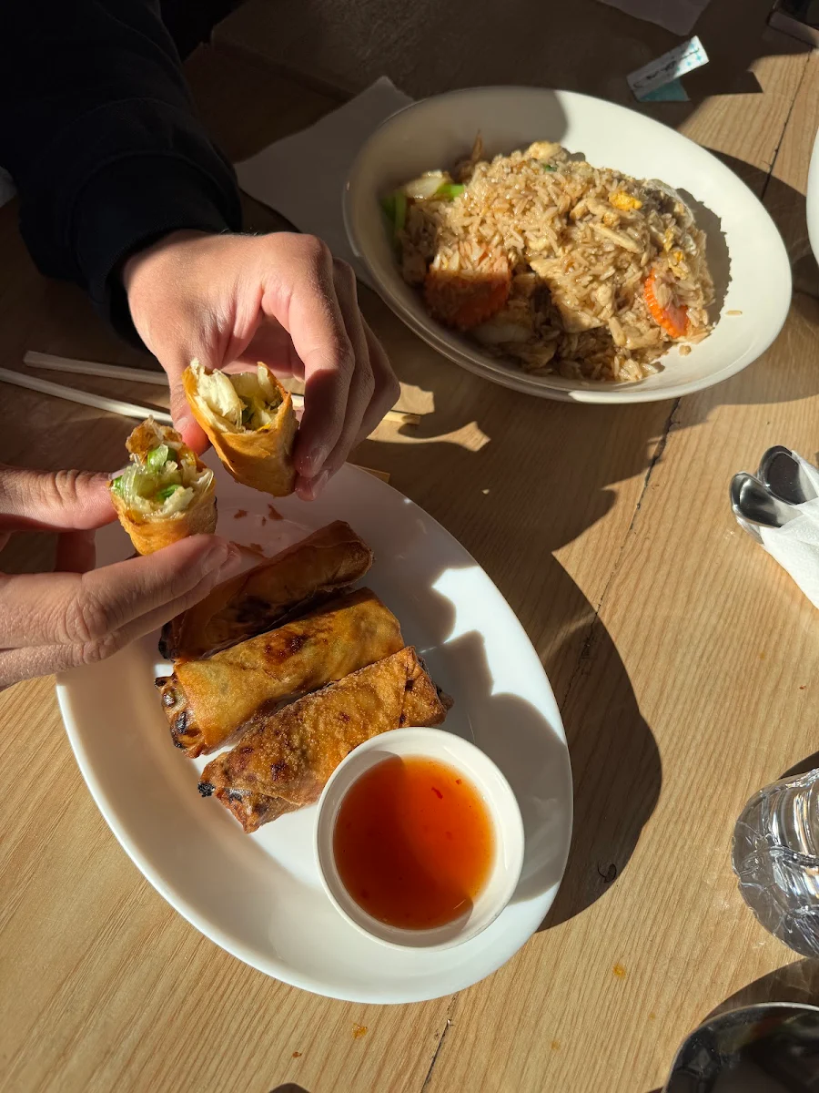 Spring Rolls and Fried Rice
